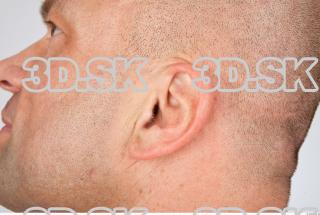 Ear texture of Dale 0001